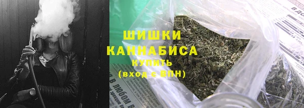 спиды Бородино