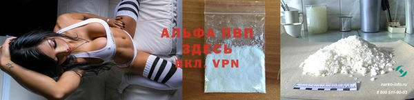 спиды Бородино
