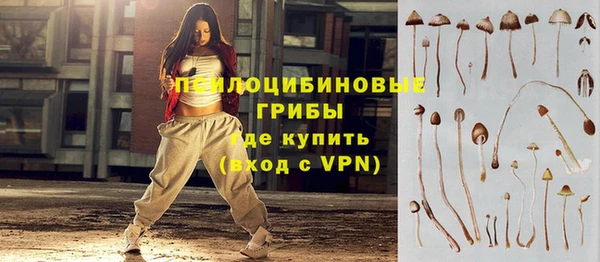спиды Бородино