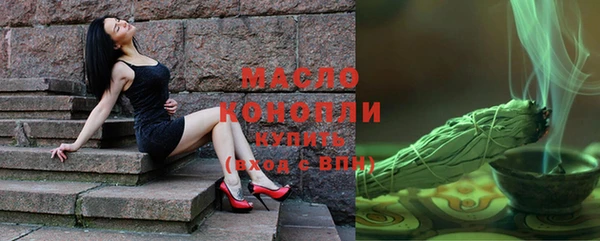 спиды Бородино
