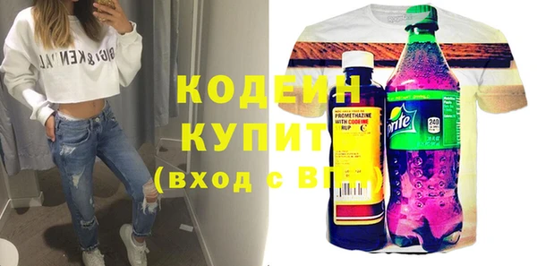 спиды Бородино
