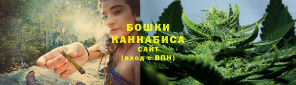 спиды Бородино