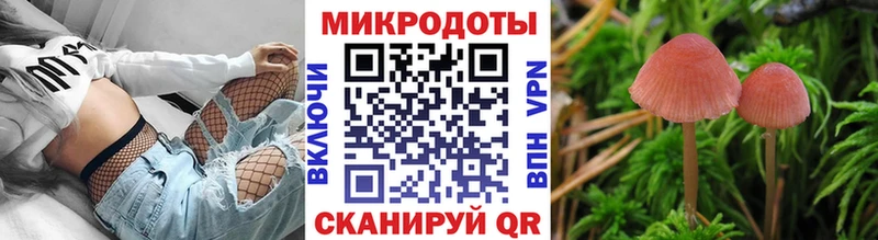 Псилоцибиновые грибы Cubensis  Шарья 