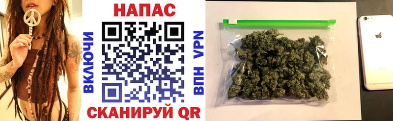 как найти   Шарья  Бошки Шишки White Widow 